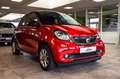 smart forFour passion*Cool&Media*PDC*Ambient*15 Rot - thumbnail 4