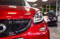 smart forFour passion*Cool&Media*PDC*Ambient*15 Rot - thumbnail 9