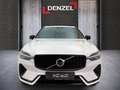 Volvo XC60 Plus, T6 Plug-in Hybrid, Elektrisch/Benzin, Dark Weiß - thumbnail 13