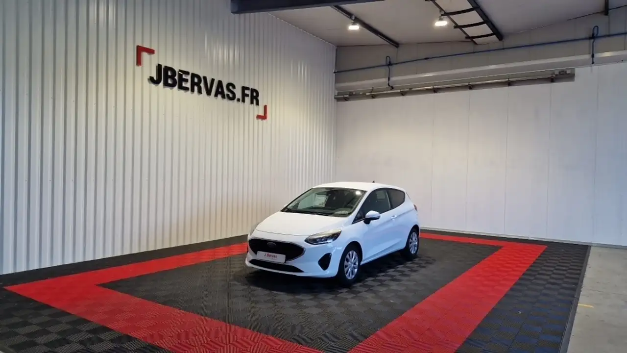 Ford Fiesta AFFAIRES 1.0 ECOBOOST 95cv FLEXIFUEL E85