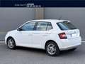 Skoda Fabia 1.0 - 60cv - Ambition Blanco - thumbnail 3