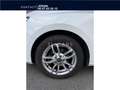 Skoda Fabia 1.0 - 60cv - Ambition Blanco - thumbnail 7