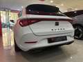 CUPRA ·  Tech Edition SP 1.5 eTSI 110kW (150CV) DSG Tec Blanco - thumbnail 19