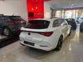 CUPRA ·  Tech Edition SP 1.5 eTSI 110kW (150CV) DSG Tec Blanco - thumbnail 5
