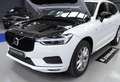 Volvo XC60 B4 Business Plus AWD Aut. Blanco - thumbnail 37