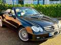 Mercedes-Benz CLK 200 CLK-Klasse Cabrio Cabrio Kompressor Elegance Grün - thumbnail 7