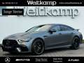 Mercedes-Benz AMG GT AMG GT 63 4M+ Aero-P.+Perf.Sitze+Carbon+Perf.Abg Grau - thumbnail 1
