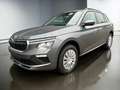 Skoda Kamiq 1.0 TSI DSG Selection Matrix-LED Garantie 4J Grau - thumbnail 1