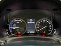 Lexus NX 300h NX 300h Executive-Line Gris - thumbnail 14