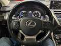 Lexus NX 300h NX 300h Executive-Line Gris - thumbnail 13