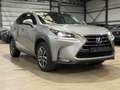 Lexus NX 300h NX 300h Executive-Line Gris - thumbnail 1
