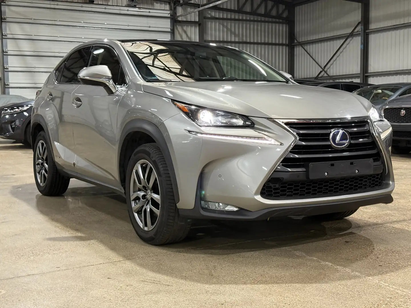 Lexus NX 300h NX 300h Executive-Line Gris - 1