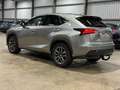 Lexus NX 300h NX 300h Executive-Line Gris - thumbnail 5