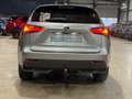 Lexus NX 300h NX 300h Executive-Line Gris - thumbnail 6