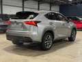 Lexus NX 300h NX 300h Executive-Line Gris - thumbnail 7