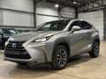 Lexus NX 300h NX 300h Executive-Line Gris - thumbnail 3