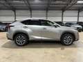 Lexus NX 300h NX 300h Executive-Line Gris - thumbnail 8