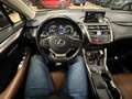 Lexus NX 300h NX 300h Executive-Line Gris - thumbnail 12