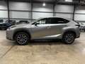 Lexus NX 300h NX 300h Executive-Line Gris - thumbnail 4