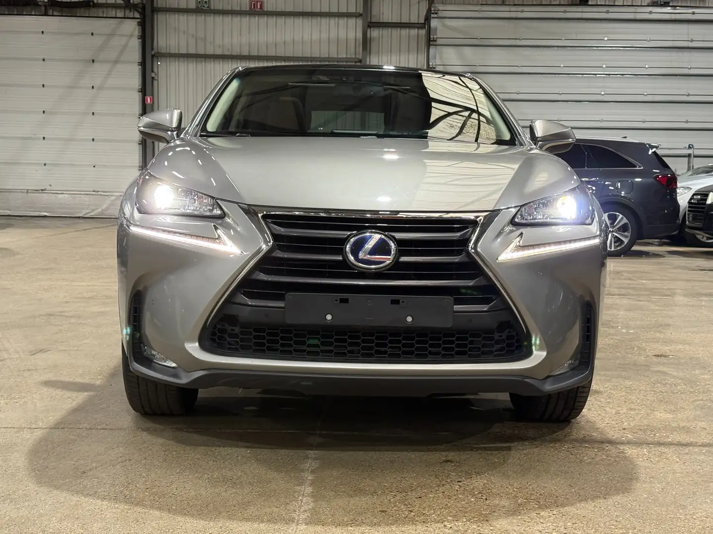 Lexus NX 300h NX 300h Executive-Line Gris - 2