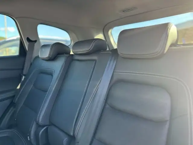 DR Automobiles DR7.0 view 14