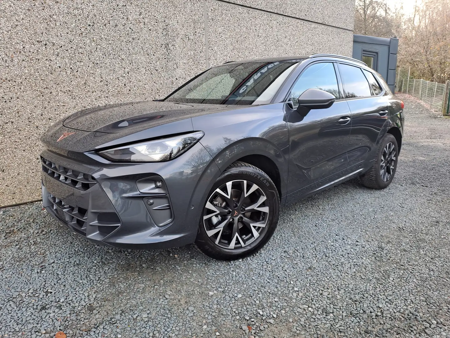 CUPRA Terramar Terramar 1.5 eTSI DSG 360°-app- head up d. park Grijs - 1