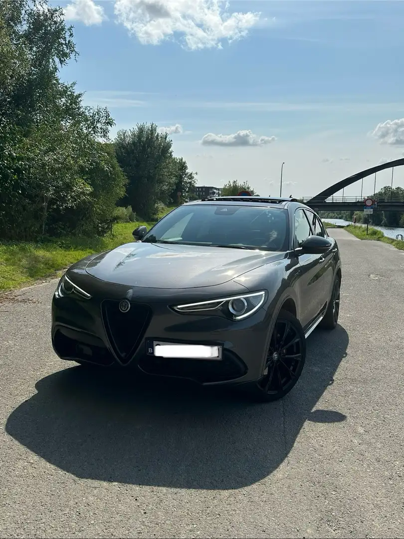 Alfa Romeo Stelvio 2.0 Turbo 16V AT8-Q4 Ti - 1