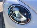 Volkswagen Maggiolino 1.6 TDI 105cv Design BlueMotion Technology Blanc - thumbnail 18