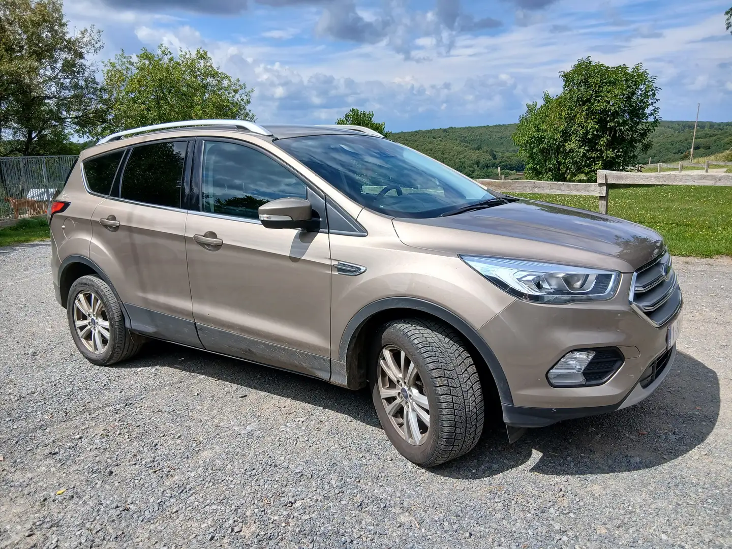 Ford Kuga Kuga 1.5 EcoBoost FWD Titanium (EU6.2) Bej - 1