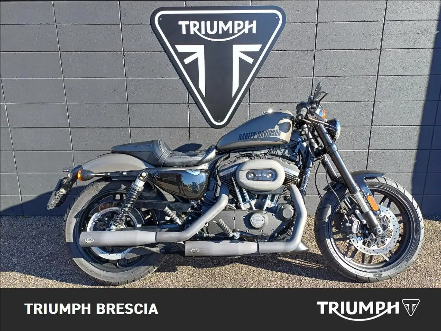 Harley-Davidson Roadster Gris - 1