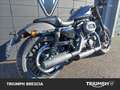 Harley-Davidson Roadster Gris - thumbnail 2