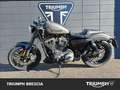 Harley-Davidson Roadster Gris - thumbnail 8