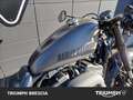 Harley-Davidson Roadster Gris - thumbnail 6