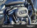 Harley-Davidson Roadster Gris - thumbnail 7