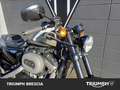 Harley-Davidson Roadster Gris - thumbnail 4