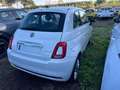 Fiat 500 1.0 FireFly Hybrid Dolcevita Bianco - thumbnail 4