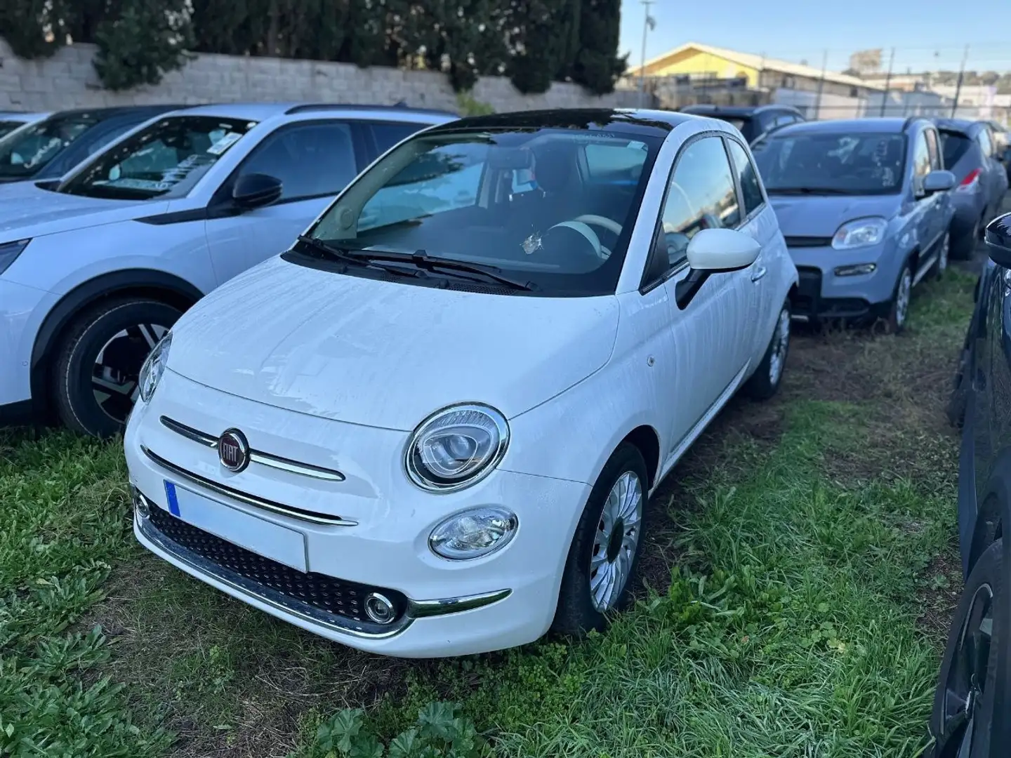 Fiat 500 1.0 FireFly Hybrid Dolcevita Bianco - 1