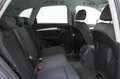 Audi Q5 2.0 TDI Stronic Sline quattro Bianco - thumbnail 9