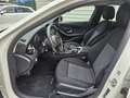 Mercedes-Benz C 220 220CDI BE Blanco - thumbnail 9