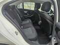 Mercedes-Benz C 220 220CDI BE Blanco - thumbnail 12