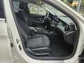 Mercedes-Benz C 220 220CDI BE Blanco - thumbnail 10