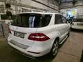 Mercedes-Benz ML 350 ML ML 350 CDI BlueTec Weiß - thumbnail 5