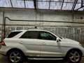 Mercedes-Benz ML 350 ML ML 350 CDI BlueTec Weiß - thumbnail 7