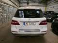 Mercedes-Benz ML 350 ML ML 350 CDI BlueTec Weiß - thumbnail 4
