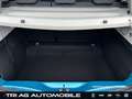 Renault ZOE Evolution EV50 135hp LED Rückfahrkamera Keyless PD Blau - thumbnail 12