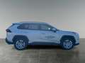 Toyota RAV 4 RAV4 Active Drive 2,5, 222 PS 4x4 Hybrid Weiß - thumbnail 6
