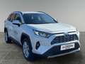 Toyota RAV 4 RAV4 Active Drive 2,5, 222 PS 4x4 Hybrid Weiß - thumbnail 7