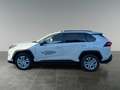 Toyota RAV 4 RAV4 Active Drive 2,5, 222 PS 4x4 Hybrid Weiß - thumbnail 2