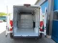 Fiat Ducato 35  L2H2  140  Kamera, 270 Grad etc. Weiß - thumbnail 7
