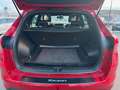 Hyundai TUCSON N Line 4WD, AHK, Navi, DCT Rot - thumbnail 13